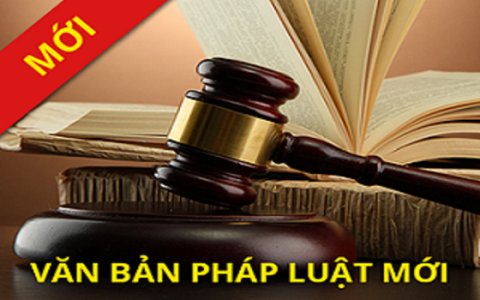Luật Đầu Tư Công
